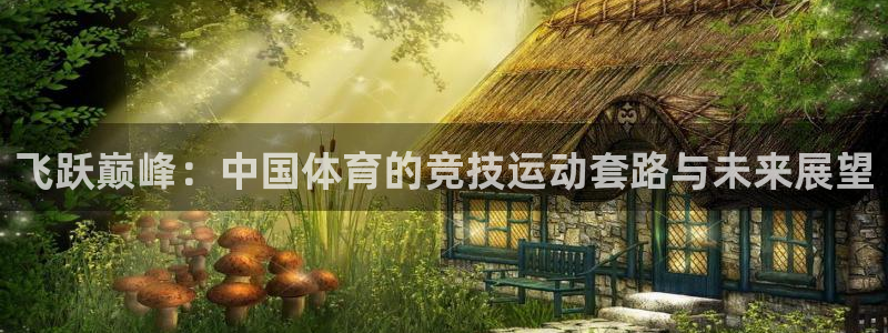 菲律宾ug环球官网：飞跃巅峰：中国体育的竞技运动套路与未来展望
