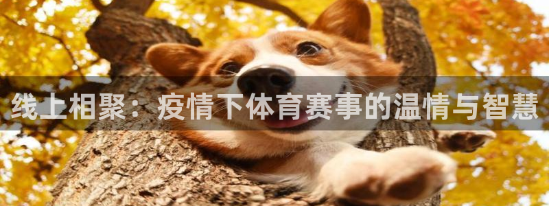 菲律宾ug环球官网：线上相聚：疫情下体育赛事的温情与智慧