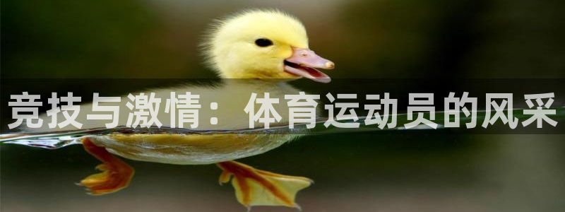 ug环球官网注册：竞技与激情：体育运动员的风采