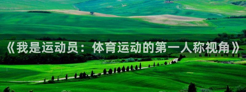 ug环球官网：《我是运动员：体育运动的第一人称视角》
