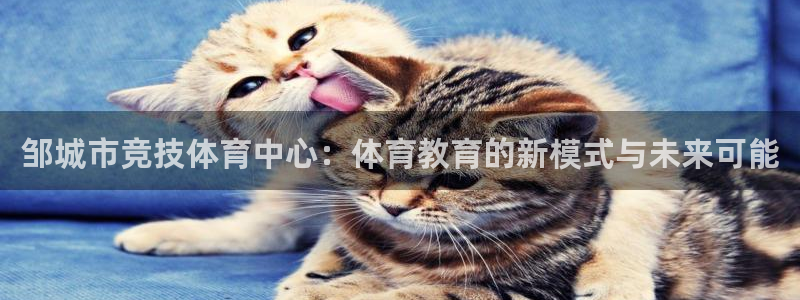 ug环球官网：邹城市竞技体育中心：体育教育的新模式与未来可能