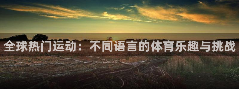 ug环球官网登录入口：全球热门运动：不同语言的体育乐趣与挑战