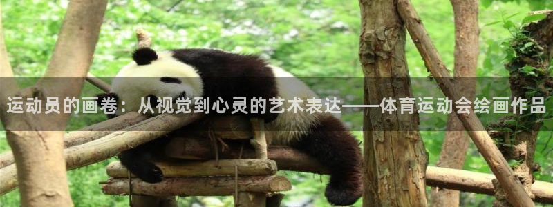 ug环球官网注册：运动员的画卷：从视觉到心灵的艺术表达——体育运动会绘画作品