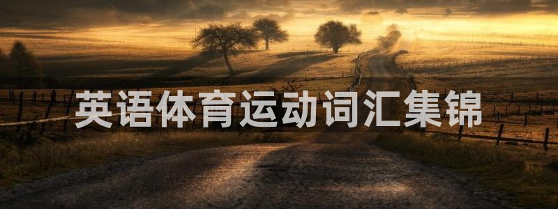 ug环球官网：英语体育运动词汇集锦