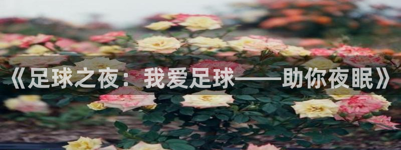 菲律宾ug环球官网：《足球之夜：我爱足球——助你夜眠》