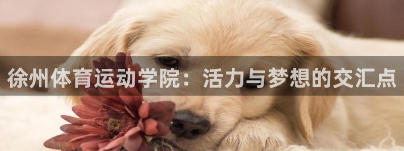 ug环球官网：徐州体育运动学院：活力与梦想的交汇点