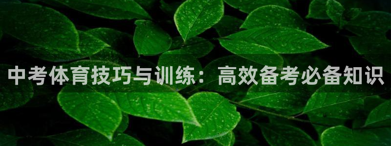 菲律宾ug环球官网：中考体育技巧与训练：高效备考必备知识