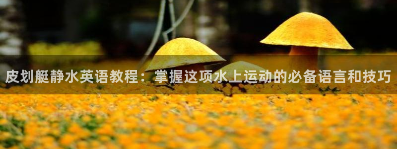 ug环球官网登录入口：皮划艇静水英语教程：掌握这项水上运动的必备语言和技巧
